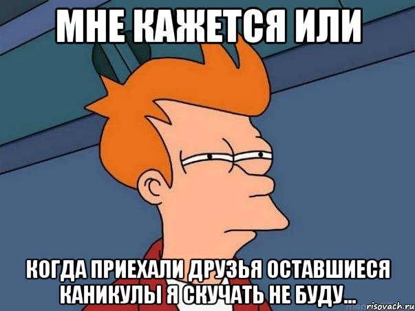 мне кажется или когда приехали друзья оставшиеся каникулы я скучать не буду..., Мем  Фрай (мне кажется или)