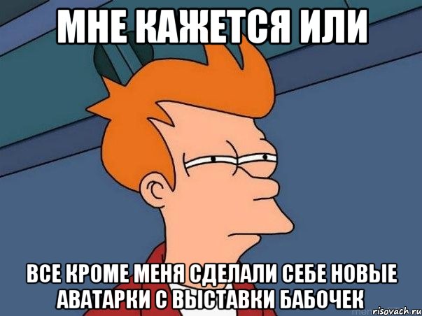 мне кажется или все кроме меня сделали себе новые аватарки с выставки бабочек, Мем  Фрай (мне кажется или)