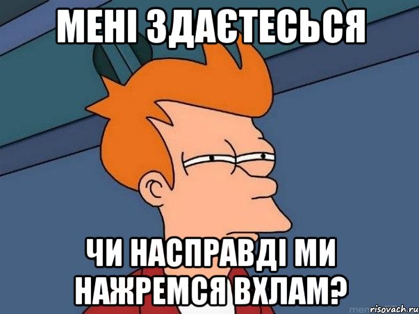 мені здаєтесься чи насправді ми нажремся вхлам?, Мем  Фрай (мне кажется или)