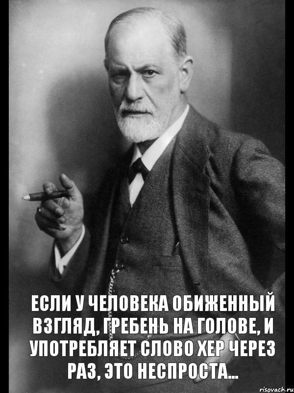  Если у человека обиженный взгляд, гребень на голове, и употребляет слово хер через раз, это неспроста...