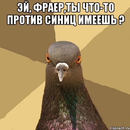 эй, фраер,ты что-то против синиц имеешь ? 