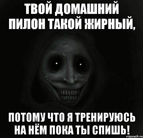 твой домашний пилон такой жирный, потому что я тренируюсь на нём пока ты спишь!