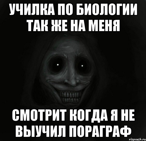 училка по биологии так же на меня смотрит когда я не выучил пораграф, Мем Ночной гость