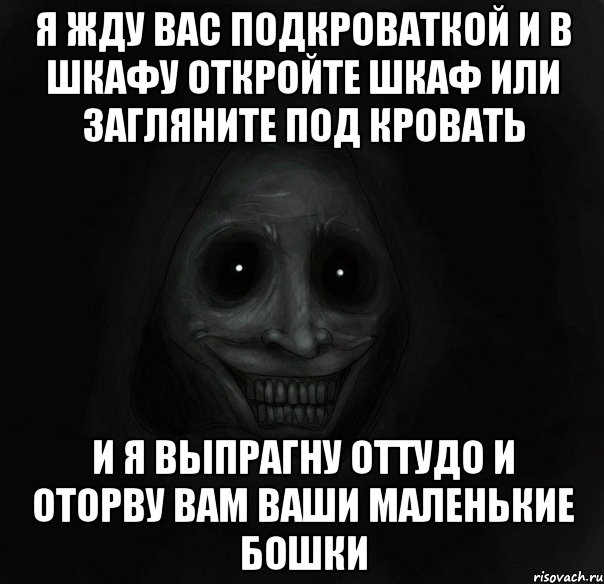 я жду вас подкроваткой и в шкафу откройте шкаф или загляните под кровать и я выпрагну оттудо и оторву вам ваши маленькие бошки, Мем Ночной гость