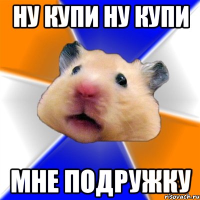 ну купи ну купи мне подружку, Мем Хомяк