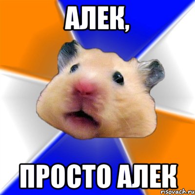 алек, просто алек, Мем Хомяк