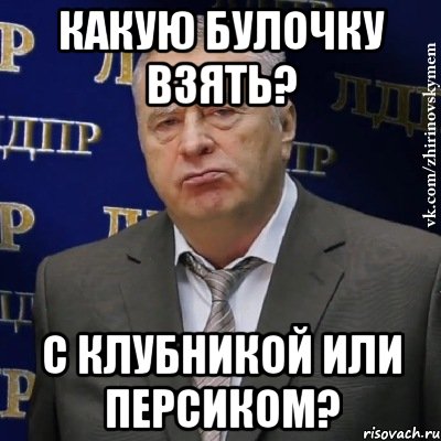 какую булочку взять? с клубникой или персиком?, Мем Хватит это терпеть (Жириновский)