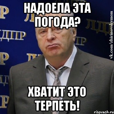 надоела эта погода? хватит это терпеть!, Мем Хватит это терпеть (Жириновский)