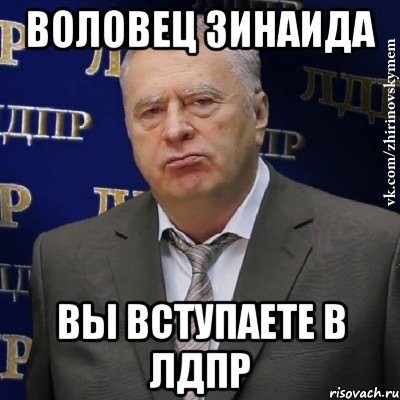 воловец зинаида вы вступаете в лдпр, Мем Хватит это терпеть (Жириновский)