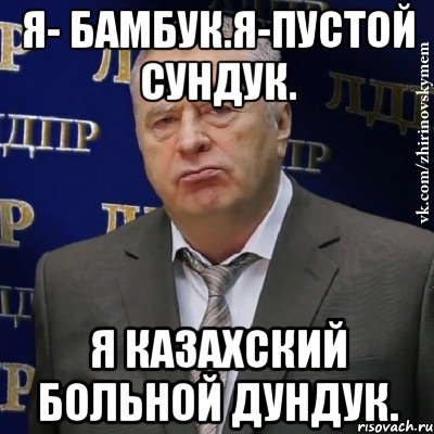 я- бамбук.я-пустой сундук. я казахский больной дундук., Мем Хватит это терпеть (Жириновский)