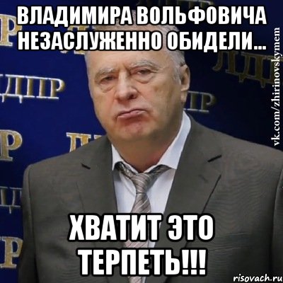 владимира вольфовича незаслуженно обидели... хватит это терпеть!!!, Мем Хватит это терпеть (Жириновский)