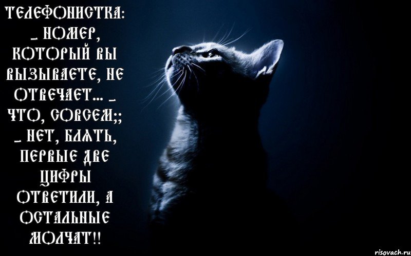 Телефонистка: - номер, который Вы вызываете, не отвечает... - что, совсем?? - нет, блять, первые две цифры ответили, а остальные молчат!!, Комикс кент