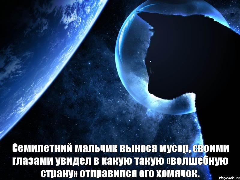 Семилетний мальчик вынося мусор, своими глазами увидел в какую такую «волшебную страну» отправился его хомячок., Комикс кент