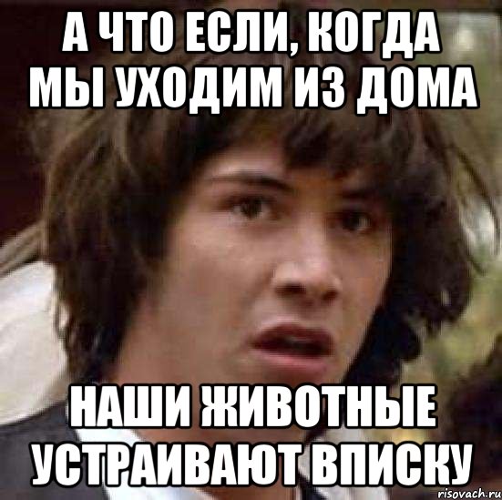 а что если, когда мы уходим из дома наши животные устраивают вписку, Мем А что если (Киану Ривз)