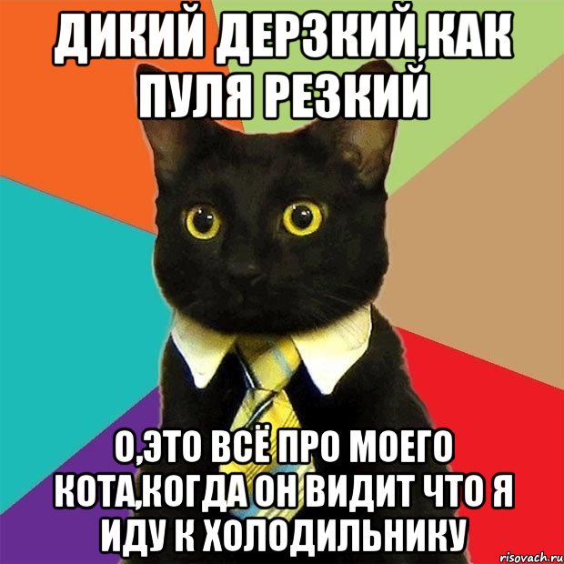 дикий дерзкий,как пуля резкий о,это всё про моего кота,когда он видит что я иду к холодильнику, Мем  Кошечка