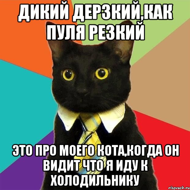 дикий дерзкий,как пуля резкий это про моего кота,когда он видит что я иду к холодильнику, Мем  Кошечка