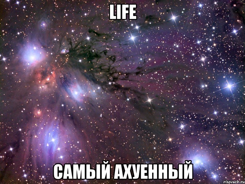 life самый ахуенный, Мем Космос