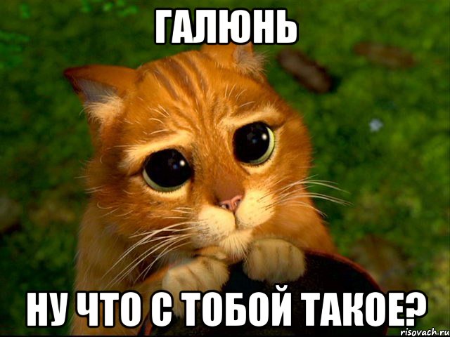 галюнь ну что с тобой такое?