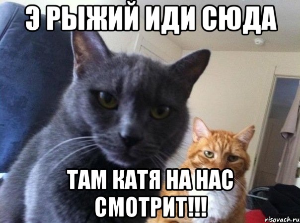 э рыжий иди сюда там катя на нас смотрит!!!, Мем  Два котэ