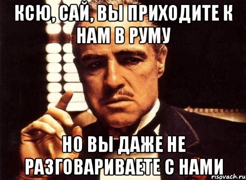 ксю, сай, вы приходите к нам в руму но вы даже не разговариваете с нами, Мем крестный отец