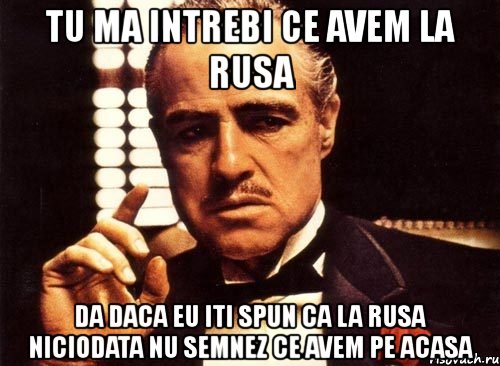 tu ma intrebi ce avem la rusa da daca eu iti spun ca la rusa niciodata nu semnez ce avem pe acasa, Мем крестный отец