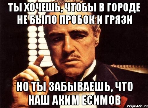 ты хочешь, чтобы в городе не было пробок и грязи но ты забываешь, что наш аким есимов, Мем крестный отец