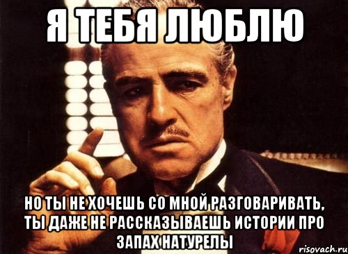 я тебя люблю но ты не хочешь со мной разговаривать, ты даже не рассказываешь истории про запах натурелы, Мем крестный отец