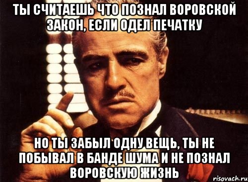 ты считаешь что познал воровской закон, если одел печатку но ты забыл одну вещь, ты не побывал в банде шума и не познал воровскую жизнь, Мем крестный отец