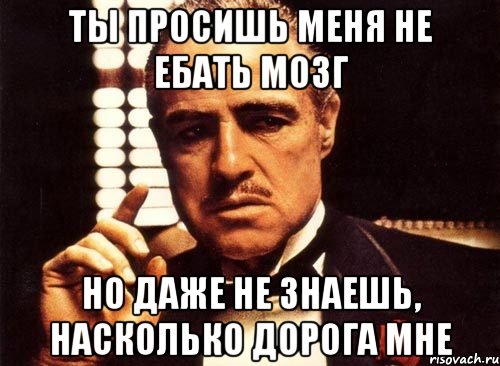 ты просишь меня не ебать мозг но даже не знаешь, насколько дорога мне, Мем крестный отец