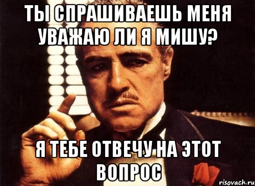 ты спрашиваешь меня уважаю ли я мишу? я тебе отвечу на этот вопрос, Мем крестный отец