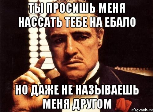 ты просишь меня нассать тебе на ебало но даже не называешь меня другом, Мем крестный отец