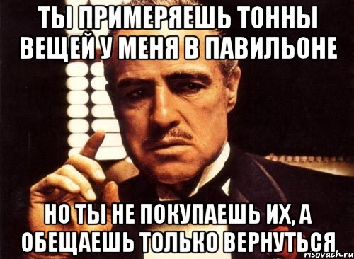 ты примеряешь тонны вещей у меня в павильоне но ты не покупаешь их, а обещаешь только вернуться, Мем крестный отец