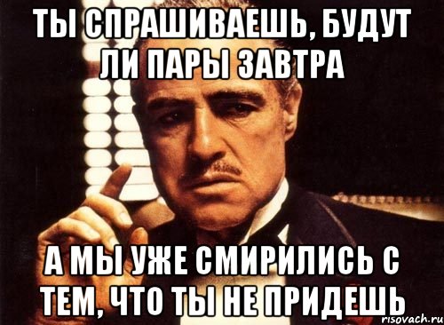 ты спрашиваешь, будут ли пары завтра а мы уже смирились с тем, что ты не придешь, Мем крестный отец