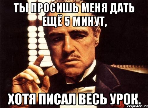 ты просишь меня дать ещё 5 минут, хотя писал весь урок., Мем крестный отец