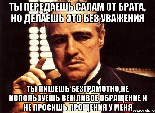 ты передаешь салам от брата, но делаешь это без уважения ты пишешь безграмотно,не используешь вежливое обращение и не просишь прощения у меня, Мем крестный отец