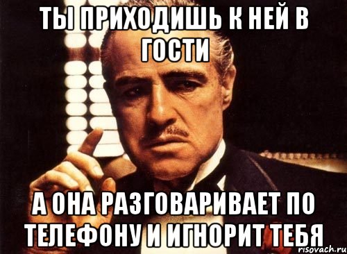 ты приходишь к ней в гости а она разговаривает по телефону и игнорит тебя, Мем крестный отец