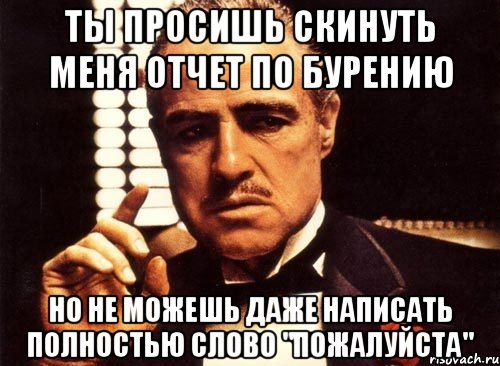 ты просишь скинуть меня отчет по бурению но не можешь даже написать полностью слово "пожалуйста", Мем крестный отец