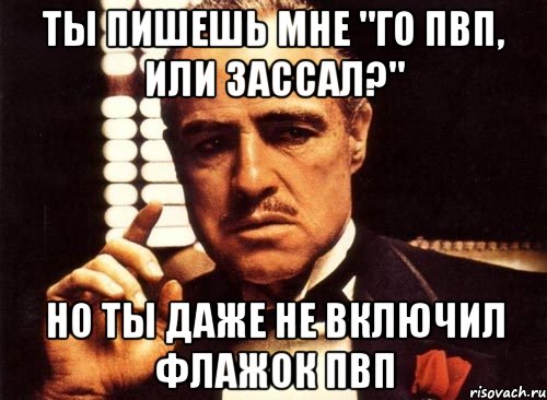 ты пишешь мне "го пвп, или зассал?" но ты даже не включил флажок пвп, Мем крестный отец