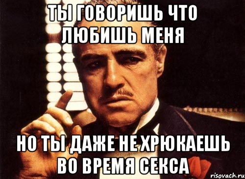 ты говоришь что любишь меня но ты даже не хрюкаешь во время секса, Мем крестный отец