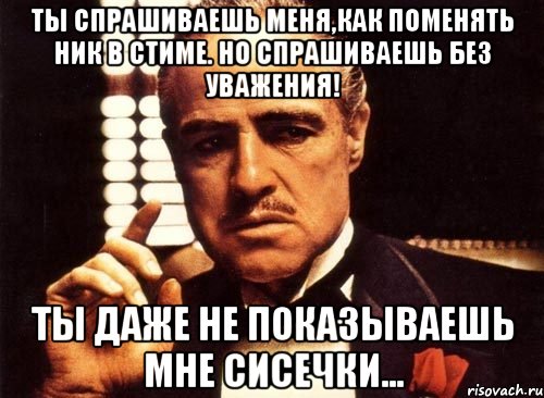 ты спрашиваешь меня,как поменять ник в стиме. но спрашиваешь без уважения! ты даже не показываешь мне сиcечки..., Мем крестный отец