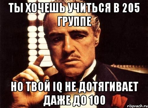 ты хочешь учиться в 205 группе но твой iq не дотягивает даже до 100, Мем крестный отец