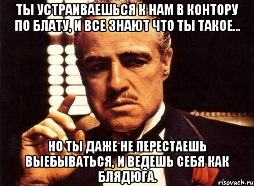 ты устраиваешься к нам в контору по блату, и все знают что ты такое... но ты даже не перестаешь выебываться, и ведешь себя как блядюга., Мем крестный отец