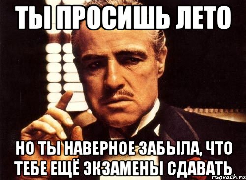 ты просишь лето но ты наверное забыла, что тебе ещё экзамены сдавать, Мем крестный отец