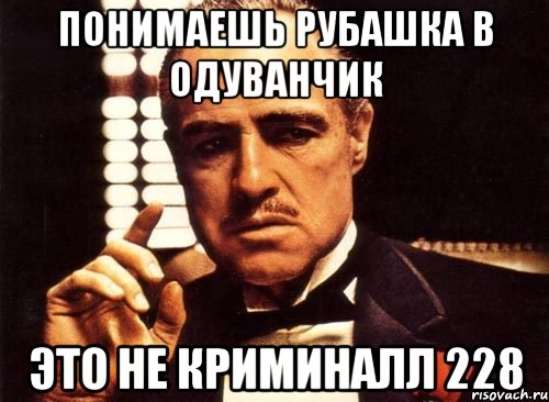 понимаешь рубашка в одуванчик это не криминалл 228, Мем крестный отец