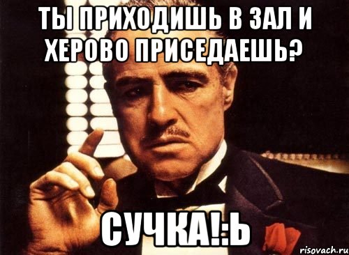 ты приходишь в зал и херово приседаешь? сучка!:ь, Мем крестный отец