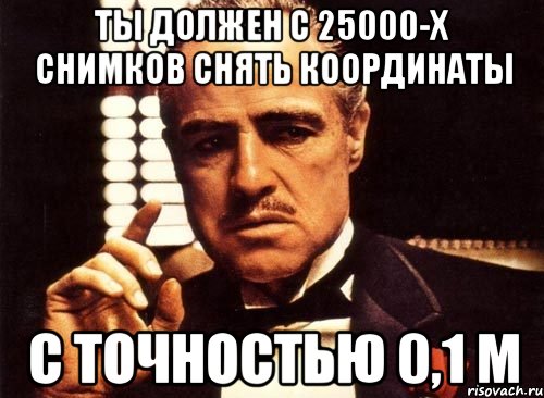 ты должен с 25000-х снимков снять координаты с точностью 0,1 м, Мем крестный отец