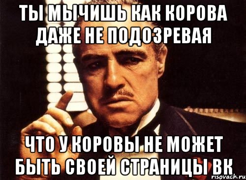 ты мычишь как корова даже не подозревая что у коровы не может быть своей страницы вк, Мем крестный отец