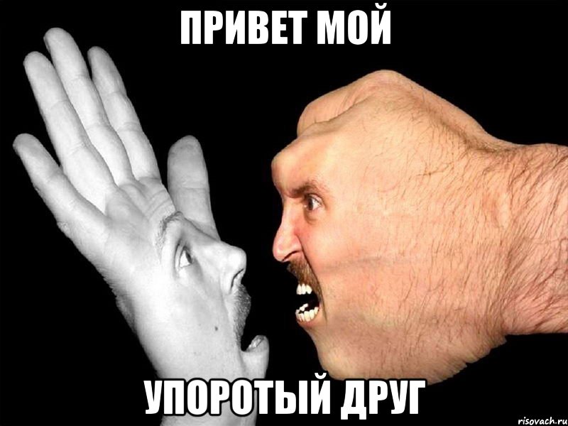 привет мой упоротый друг