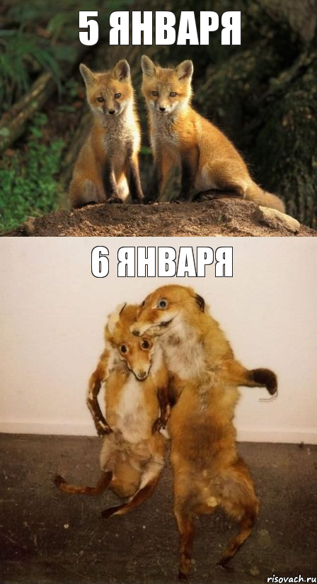 5 ЯНВАРЯ 6 ЯНВАРЯ