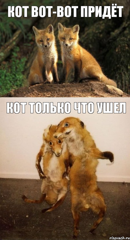 Кот вот-вот придёт Кот только что ушел